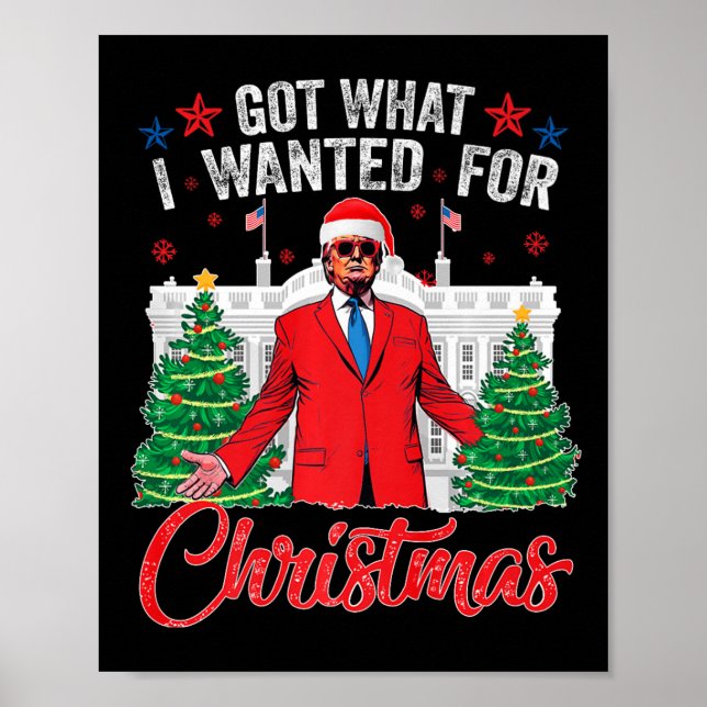 Got What I Wanted For Christmas Trump  Poster (Front)