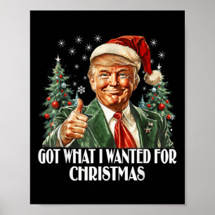 Got What I Wanted For Christmas - Trump Xmas Poster