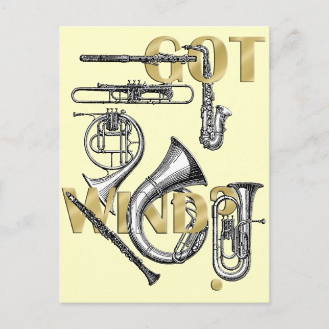 Got Wind Funny Wind Instrument players gifts Postcard (Front)