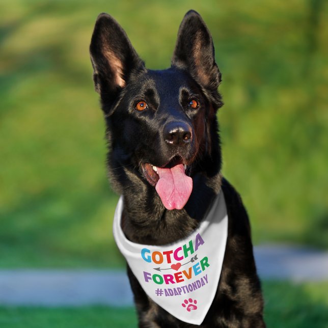 Gotcha for ever adaption day pet bandana collar (Dog)