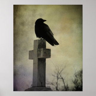 Goth CrowPoster Poster