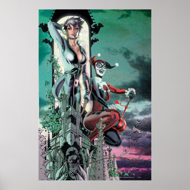 Gotham City Sirens Cv12_R1 Poster (Front)