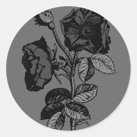 Gothic Black Antique Rose Classic Round Sticker