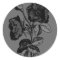 Gothic Black Antique Rose
