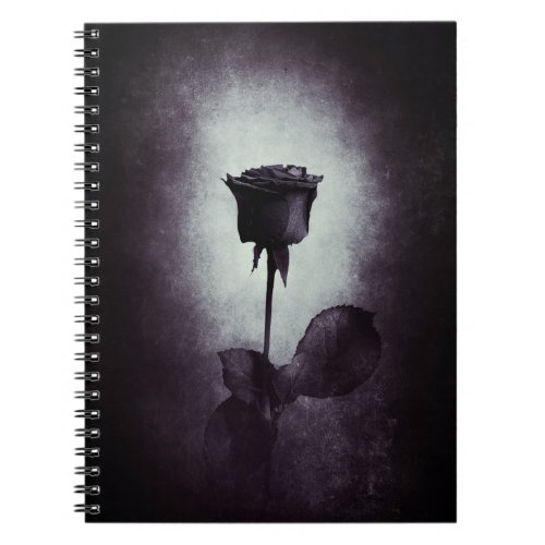 Gothic Black Rose Notebook
