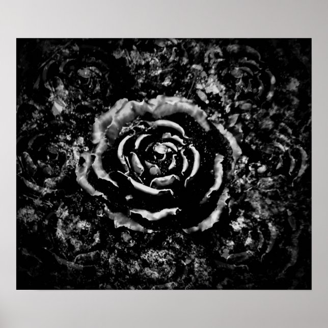 Gothic cemetery rose poster (Front)
