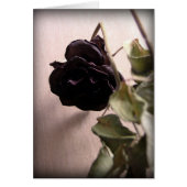 Gothic Dead Rose (Front)