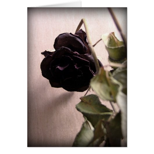 Gothic Dead Rose Cards (Front)