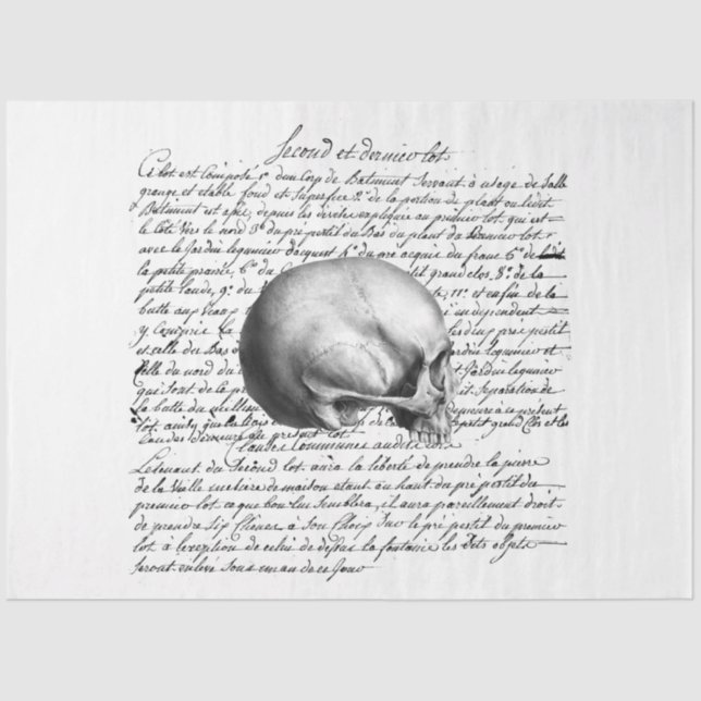 Gothic Debutante Series Design 5   Tissue Paper (Front)