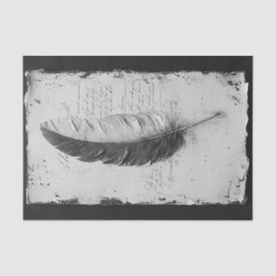 Gothic Feather in a study of black and white Tissue Paper