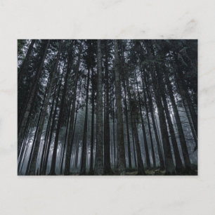 gothic forest postcard