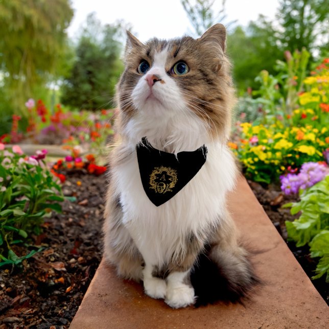 Gothic Glam | Bandana | Black Pet Bandana Collar (Cat)