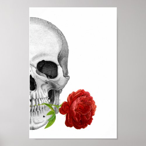 Gothic Half Skull Rose Horror Fantasy Skeleton Poster