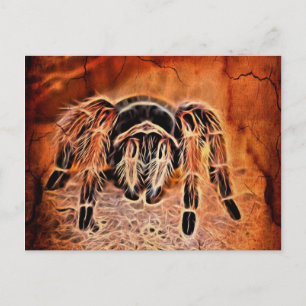 Gothic Halloween creepy crawlies spider Tarantula Postcard