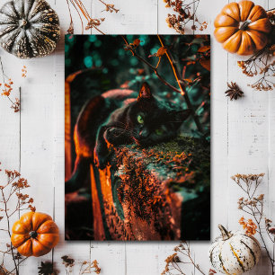 Gothic Occult Black Cat at Cemetery Postcard
