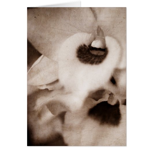 Gothic orchid - Card (Front)