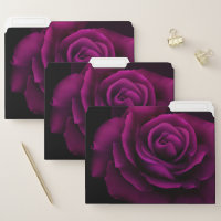 Gothic Purple-Red Rose Flower