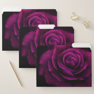 Gothic Purple-Red Rose Flower File Folder