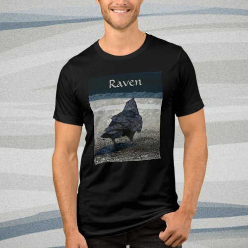 Gothic Raven Urban Blackbird  Tri_Blend Shirt