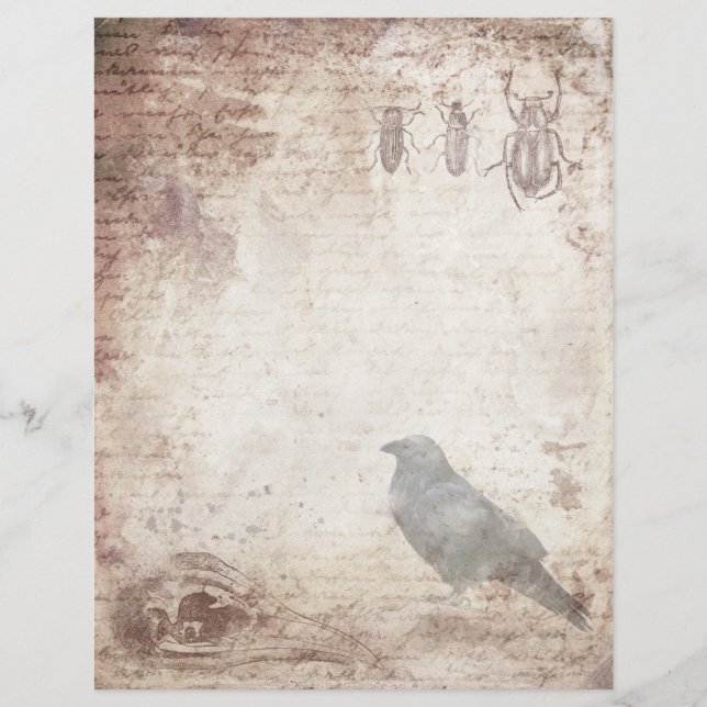 Gothic Raven Vintage Parchment Scrapbook Paper (Front)