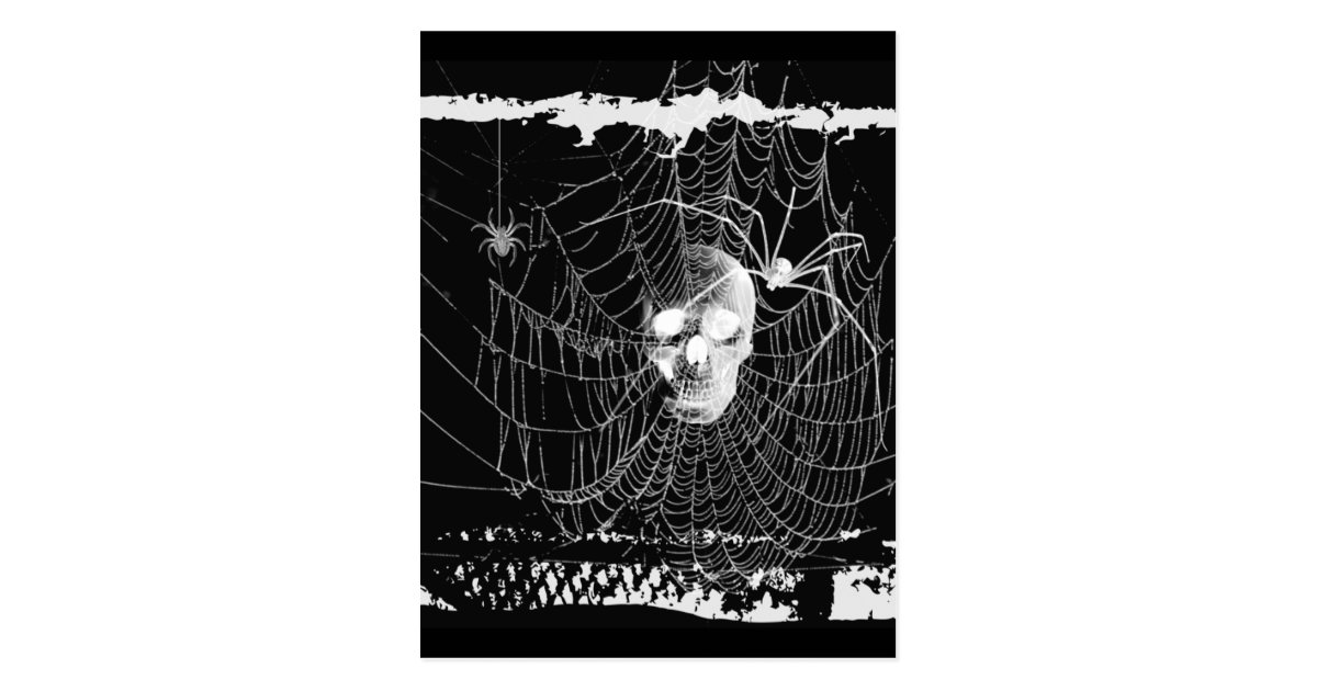 Gothic Skull Spider Web Postcard | Zazzle.com