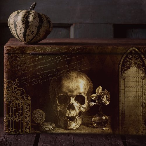 Gothic Skull Victorian Halloween Ephemera  Tissue Paper
