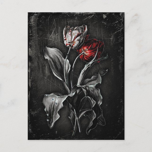 Gothic Tulips Postcard (Front)
