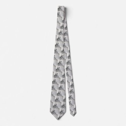 GOTHIC WARRIORSBarbarian KnightsFantasy Neck Tie