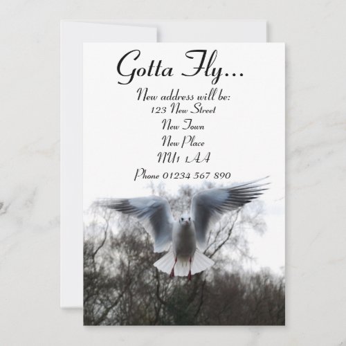 Gotta Fly - New Address Cards Invitations