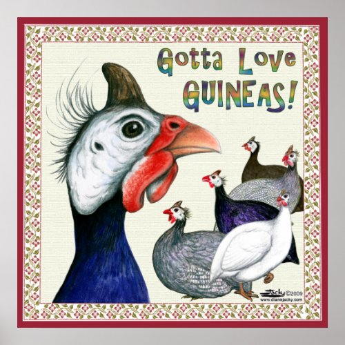 Gotta Love Guineas Poster