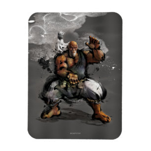 Gouken Stance Magnet