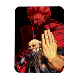 Gouken Vs. Akuma Magnet