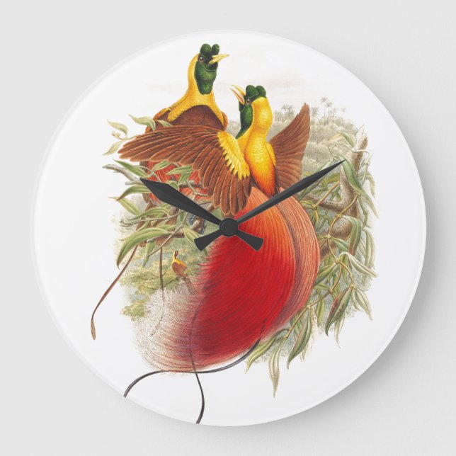 Gould Birds of Paradise Wall Clock (Front)