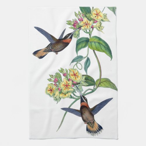 Gould Hummingbird Birds Flowers Wildlife Towel