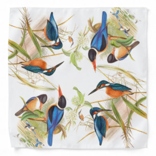 Gould Kingfisher Birds Bandana