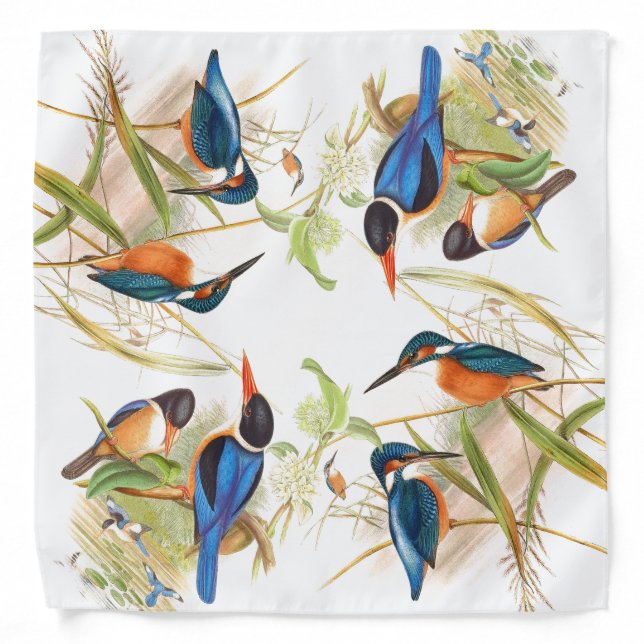 Gould Kingfisher Birds Bandana (Front)
