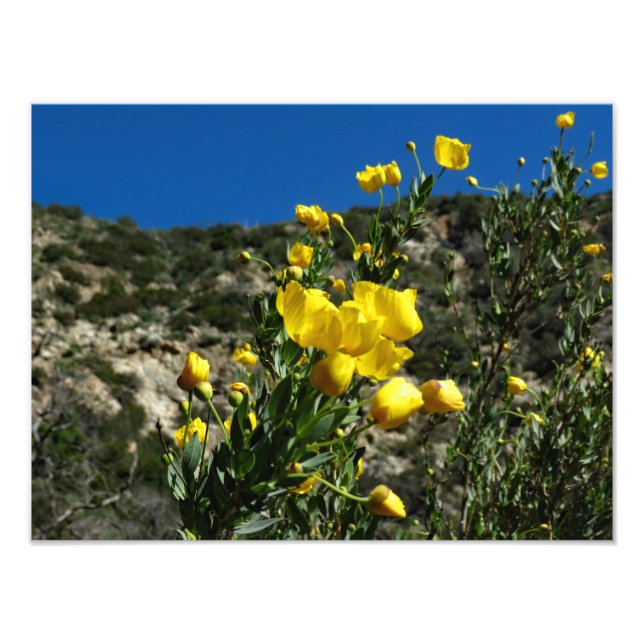 Gould Mesa Trail, CA Photo Print (Front)