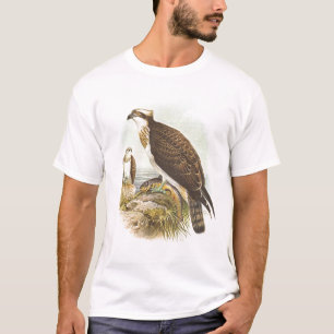 Gould - Osprey - Pandion haliaetus T-Shirt