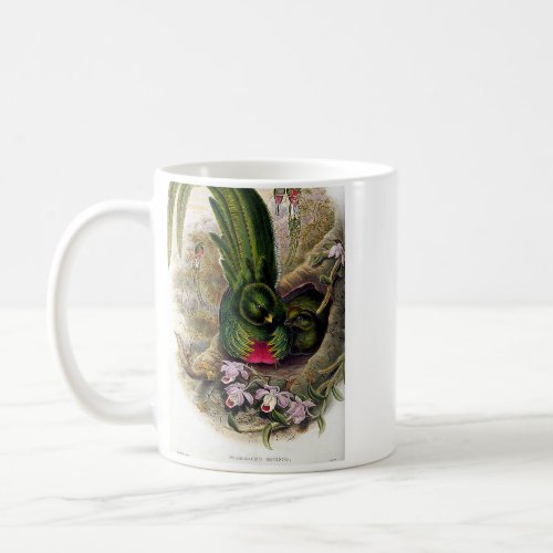 Gould _ Quetzal Bookstore Promo Coffee Mug