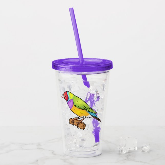 Gouldian finch bird cartoon illustration  acrylic tumbler (Front Ice)