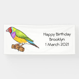 Gouldian finch bird cartoon illustration banner