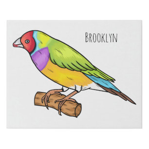 Gouldian finch bird cartoon illustration faux canvas print