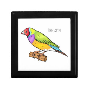 Gouldian finch bird cartoon illustration gift box