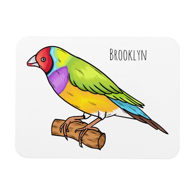 Gouldian finch bird cartoon illustration  magnet (Horizontal)
