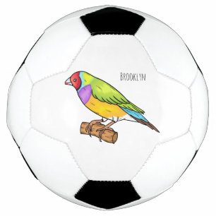Gouldian finch bird cartoon illustration soccer ball