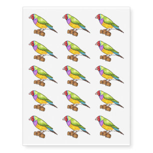 Gouldian finch bird cartoon illustration temporary tattoos