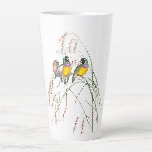 Gouldian Finch Bird Vintage Illustrations  Latte Mug