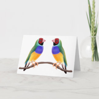 Gouldian Finch Friends Card
