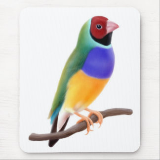 Gouldian Finch Mousepad