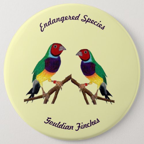  Gouldian Finch  Original Art  Button